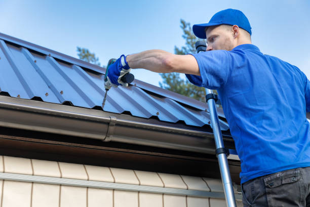 Best Gutter Installation and Repair  in Naco, AZ