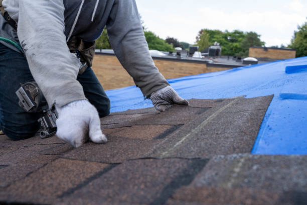 Best Storm Damage Roof Repair  in Naco, AZ